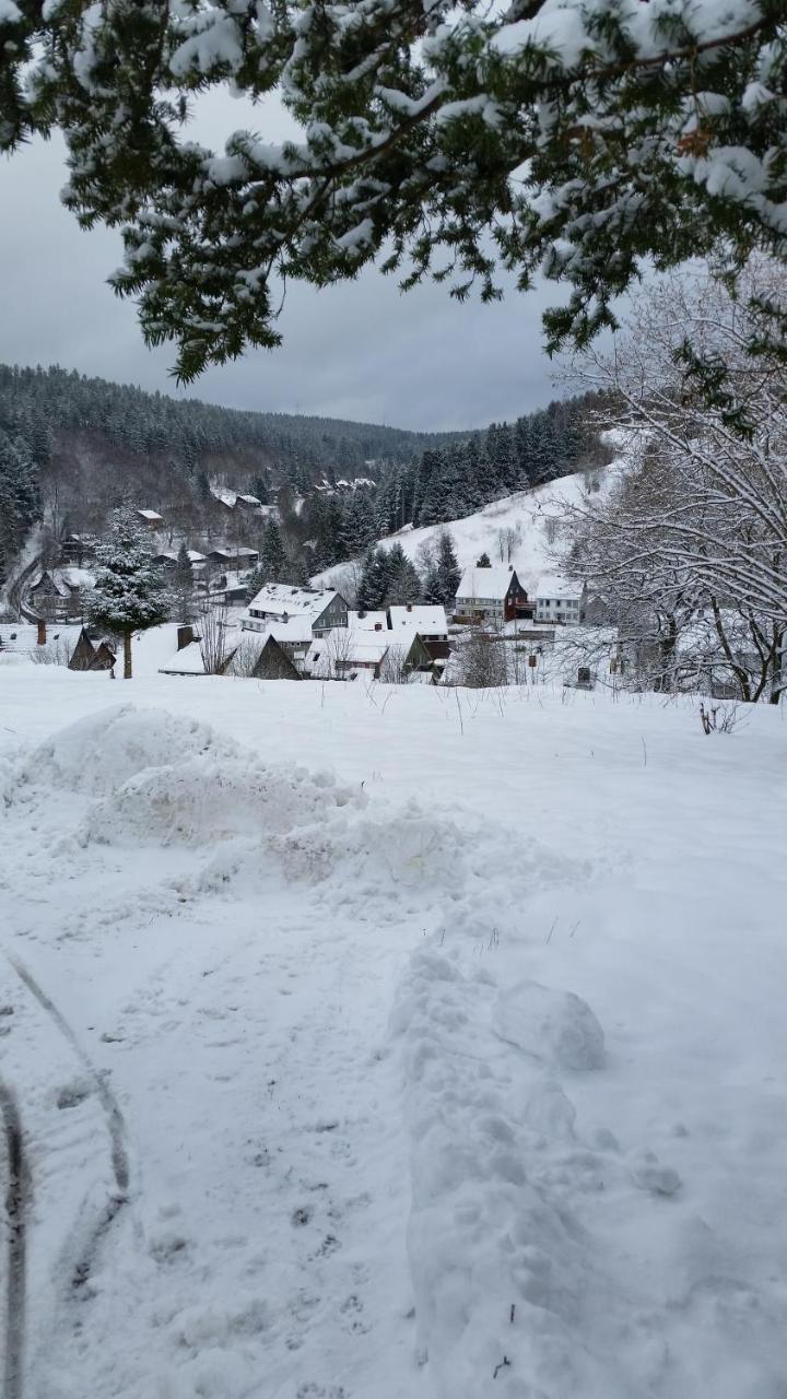 Pension Haus Petra Altenau  Exterior foto